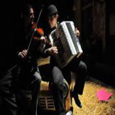 Canarro