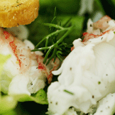 Rocklobster
