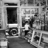 Sekerci_3594_0