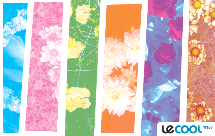 Lecool_cover_157_ivor