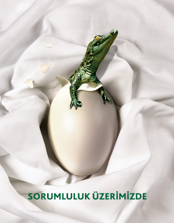 Lacoste_save_340x436