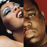 Biggie-donna_m