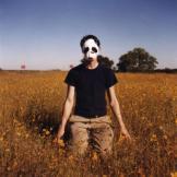 Panda_bear_m