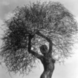Tumbleweed_m