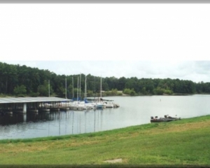 Powell Park Marina
