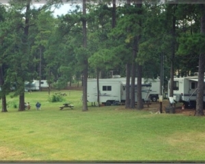 Powell Park Marina and Campground