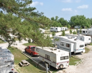 Big Cypress RV Park