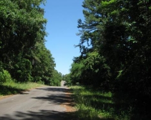 SECLUDED 2 ACRE WATERFRONT TRACT