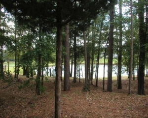 Eagles Bluff Waterfront Lot