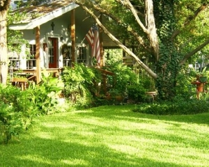 Enchanted Hideaway on Lake Whitney