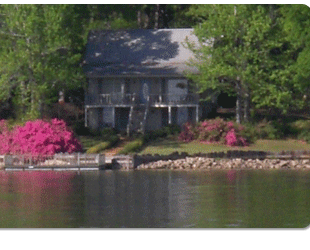Toledo Bend Cottages Le Paradis Bed And Breakfast Toledo Bend