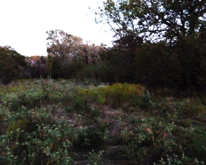 6 Lots in Landmark Passage