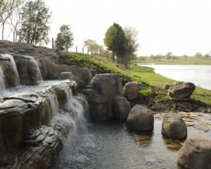 Lifestyle, Location, Lakeview, Private Marina