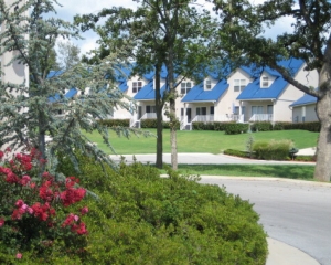 Colony Cove
