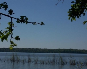 Private Acre lot on Culdesac