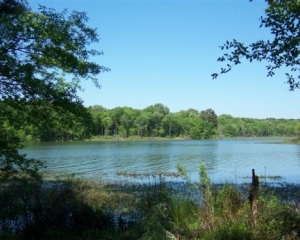 Fabulous Waterfront Lot Close to Mt. Pleasant
