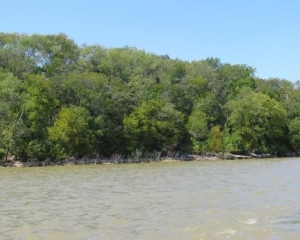 Beautiful Lakefront lot in North Star Pointe
