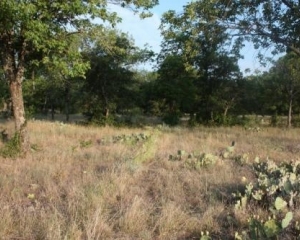1.007 acres on North Star Pointe