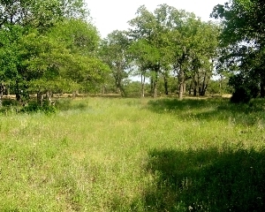Views of Lake Bridgeport