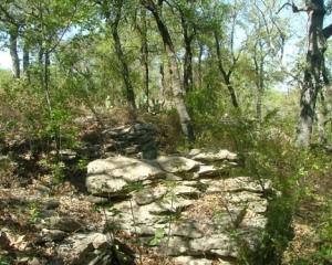 Wonderful Views of Lake Bridgeport