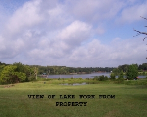 Lake Fork Waterfront Lot