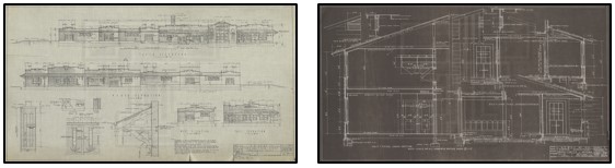 Image thumbnails from local TTU image collections