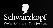Go to Schwarzkopf website