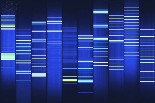 Website Source Code Visualization, Created Using WEB2DNA - Britannica ImageQuest Website Source Code Visualization, Created Using WEB2DNA - Britannica ImageQuest