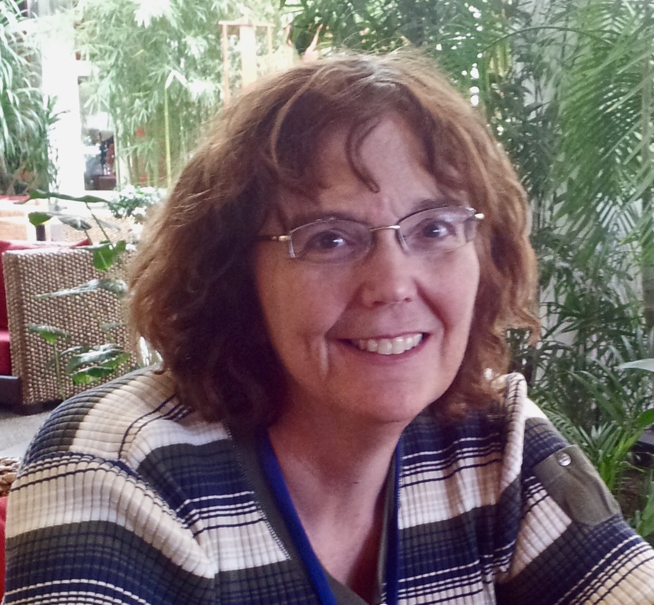 What is a dissertation image