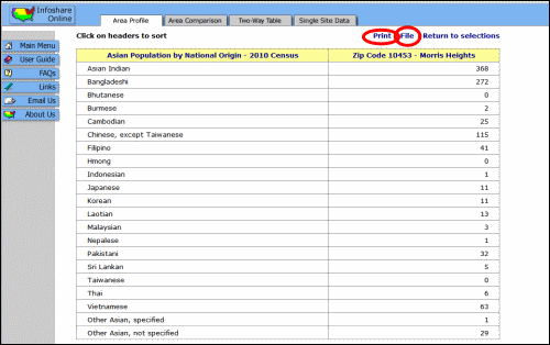 screenshot of Census report as table