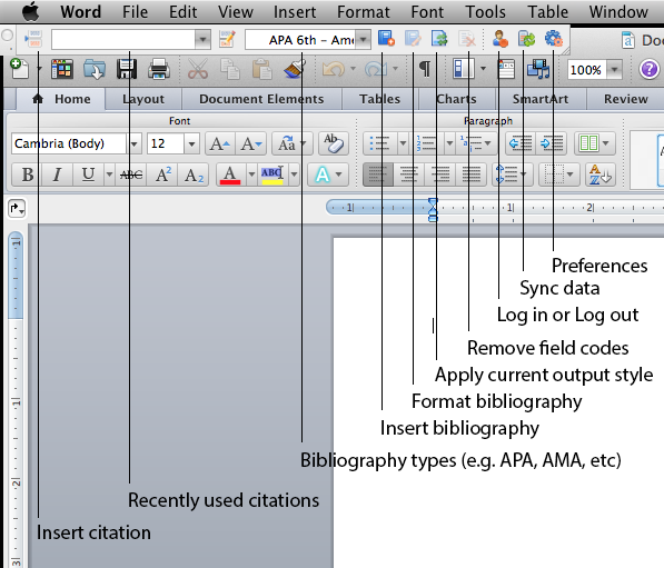 The Write-N-Cite toolbar in Microsoft Word on Mac