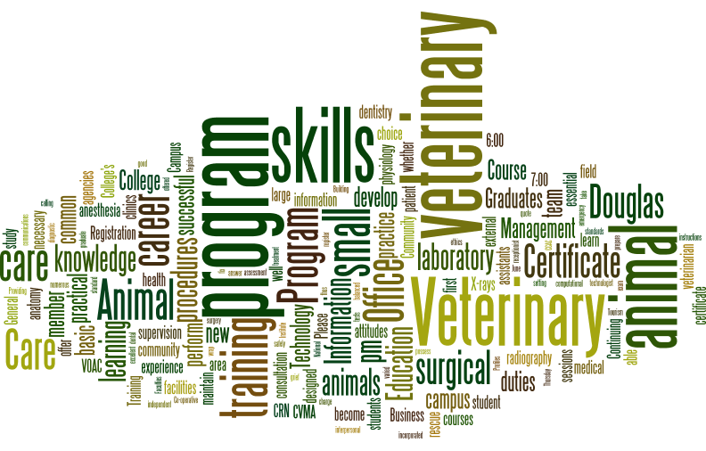 Veterinary Technology Veterinary Technology Subject Guide Research