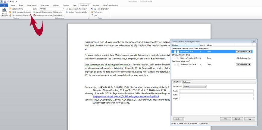 endnote format of references