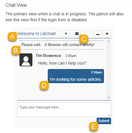 Example of the Chat View
