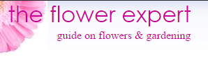 Go to the flower expert website