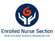 Go to New Zealand Nurses Organisation Enrolled Nurse Section website