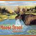 Big Sky Moose Drool Brown Ale
