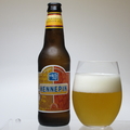 Ommegang Hennepin