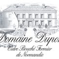 Etienne Dupont Cidre De Givre Eis Cider