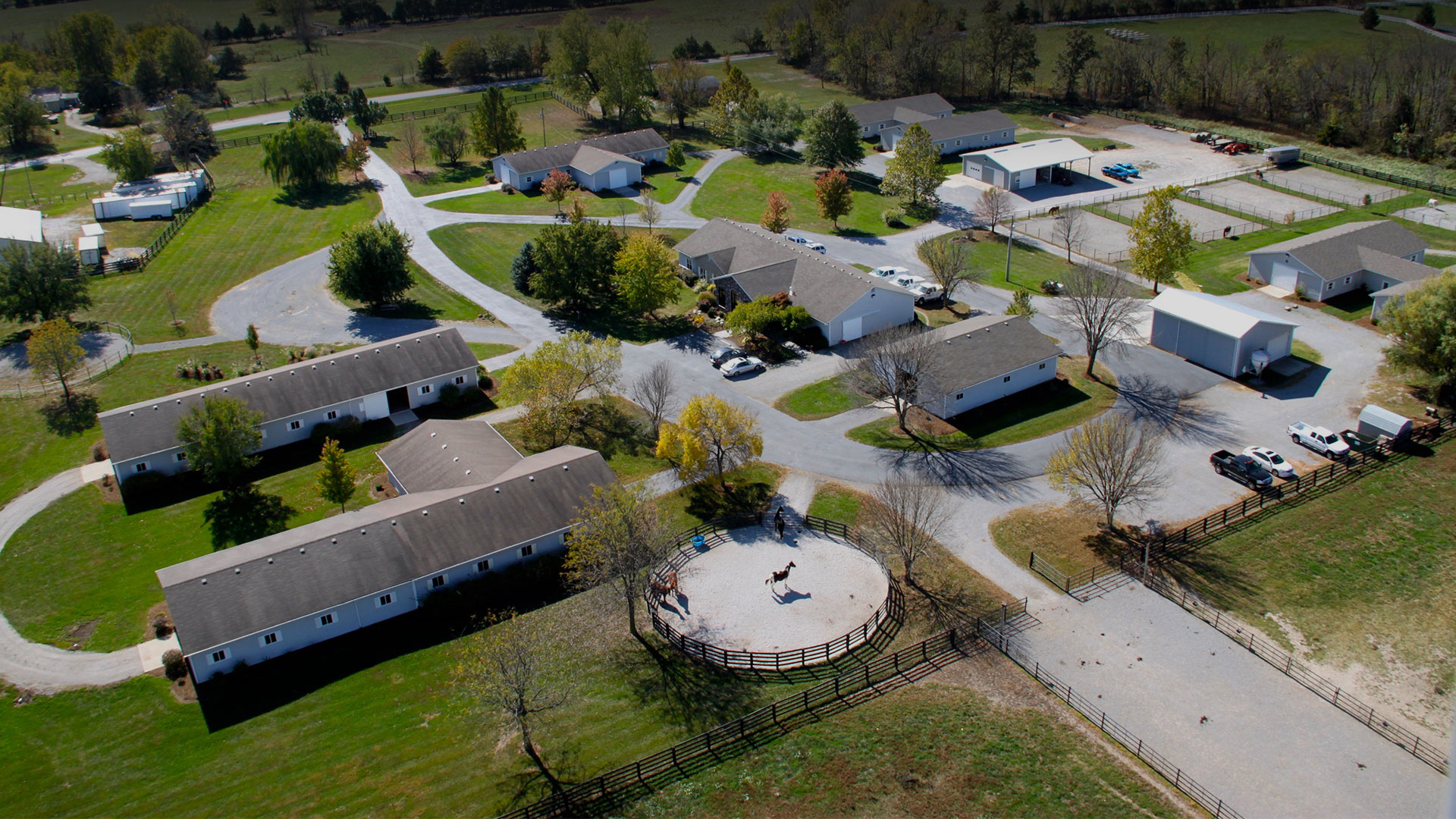 Equine Medical Services Columbia, MO Home
