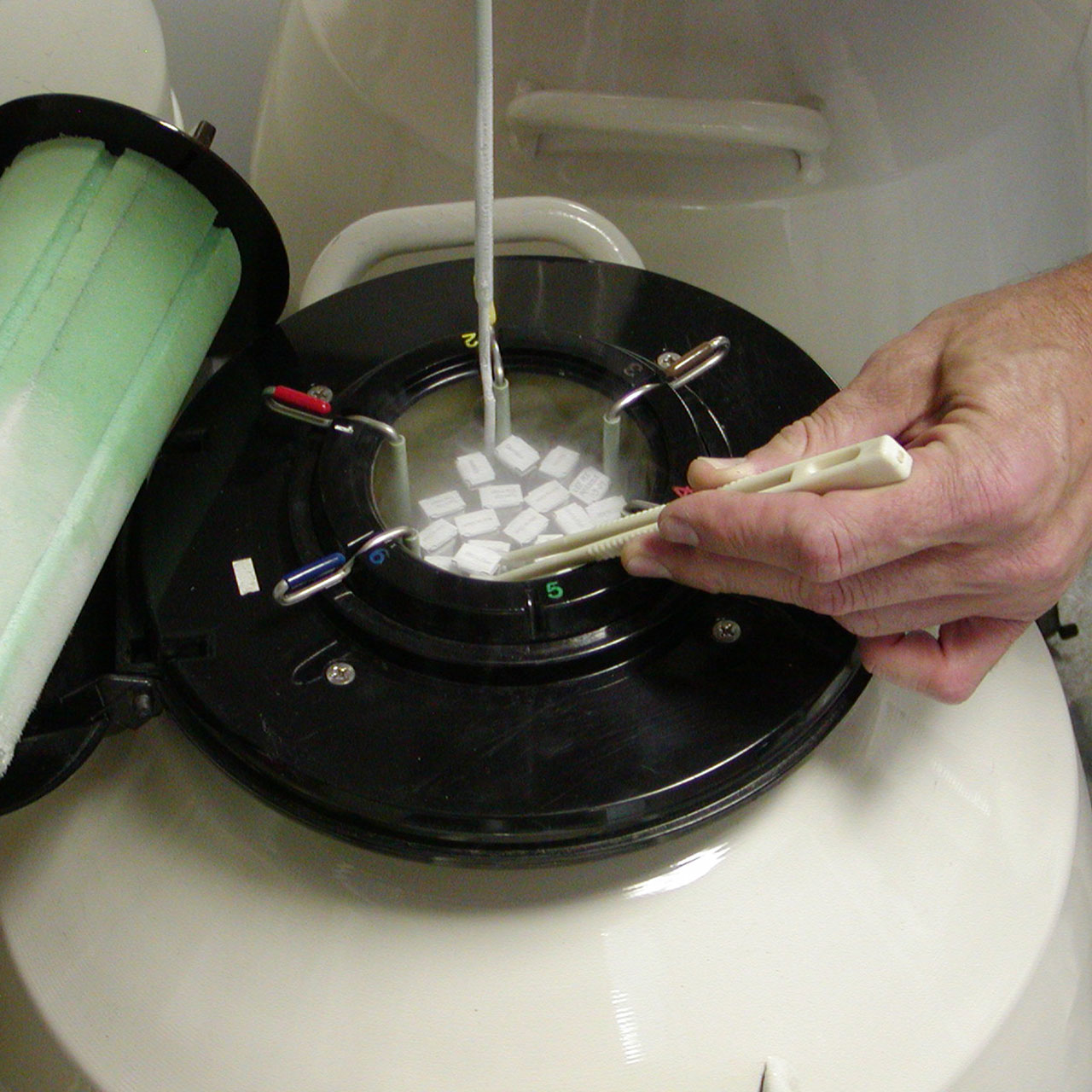 Equine Medical Services Columbia, MO Reproductive Services