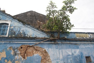 Recife, Brazil. Photo courtesy of Andrew Sleigh.