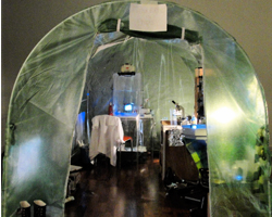 Garden Shed Lab – Kira O'Reilly, with Valerie Furnham, Columba Quigley, Genevieve Maxwell. 