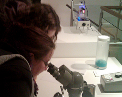 Labatory Life
