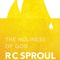 The Holiness of God image