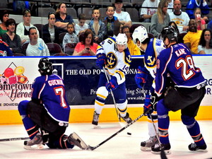 Stop the puck