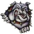 Bulldogs