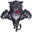 Wildcats