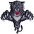 Wildcats
