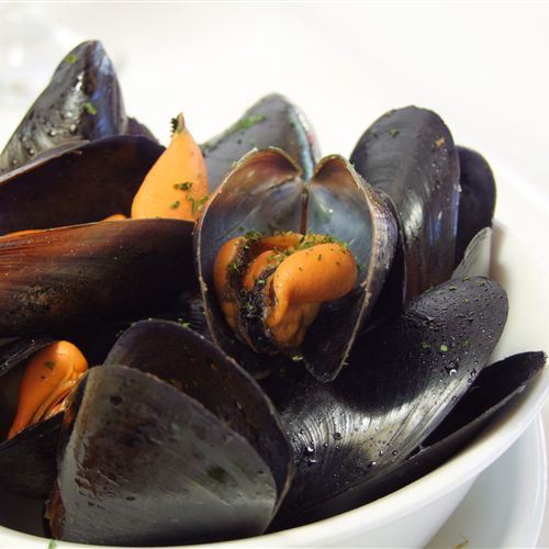 Mussels